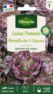 Laitue Pommée Merveille des 4 Saisons